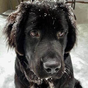 Meet your Posher, Jess